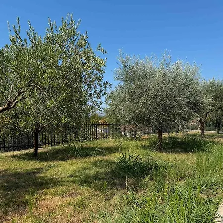 Aura Hill - Private * Čapljina
